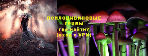 амф Алексеевка
